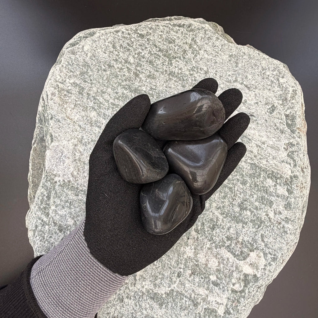 Gloved hand holding two medium high-gloss polished black pebbles on a large textured stone background.