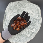 Gloved hand holding orange glass pebbles on a large grey stone background.